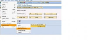 Query intial screen