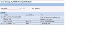 User Group Z_Test: Assign InfoSets