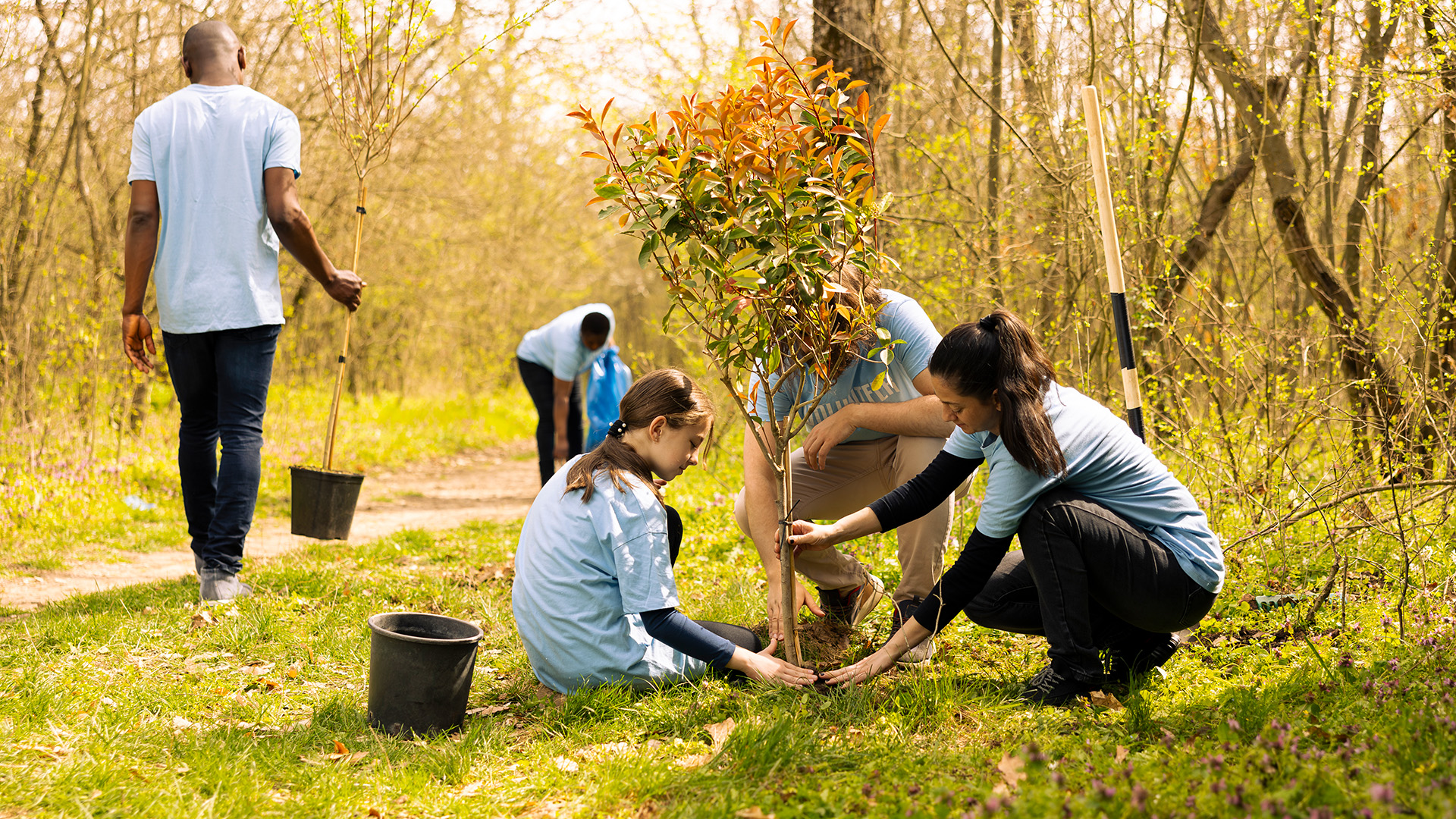 Social Impact in Action