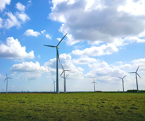 Hexaware Earns Gold Sustainability Rating from EcoVadis, Placing in the Top 5% Globally